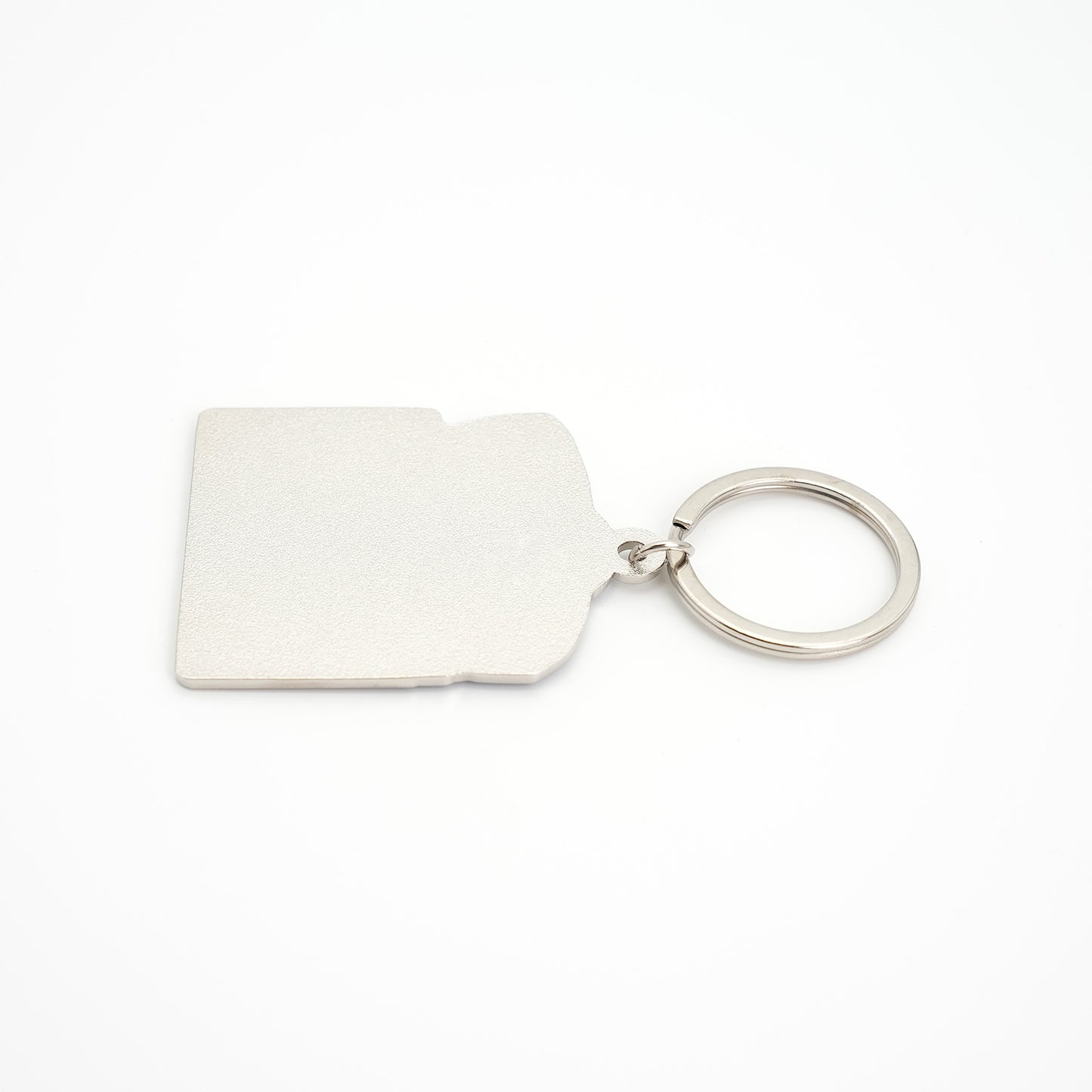 CAE Flight Simulator Keychain