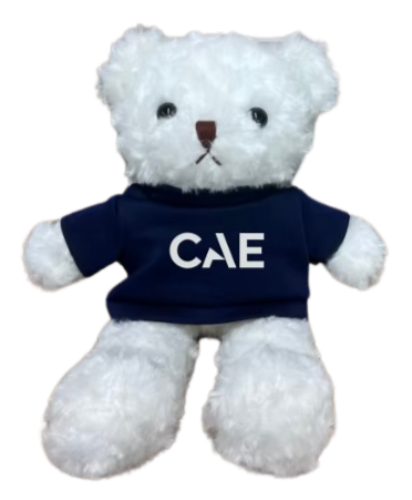 Teddy Bear - White